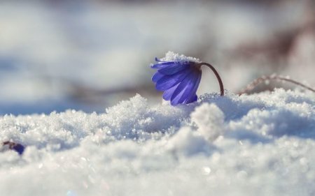 Sabahın hava proqnozu AÇIQLANDI