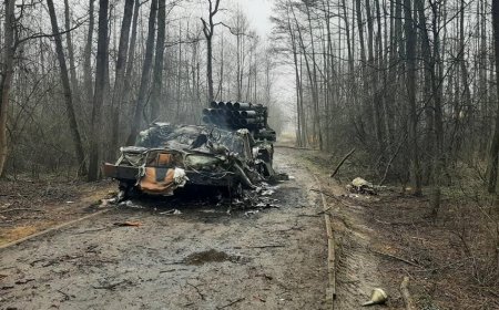 Ukrayna İlan adasında yenidən öz bayrağı ucaldıb