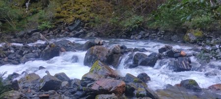 Norveçin gözəllikləri (VOSS kamunası) fotolarda