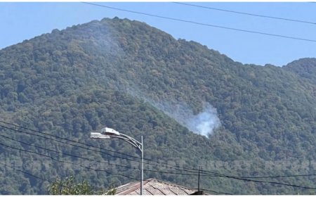 Zaqatalada baş verən meşə yanğına helekopterlər cəlb olunub