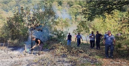 Zaqatalada  baş verə biləcək aktiv meşə yanğının qarşısı vaxtında alınıb