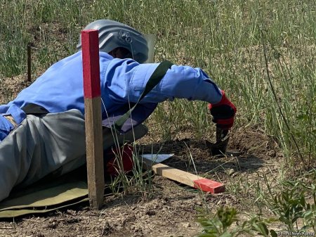 Ötən həftə Azərbaycan Minatəmizləmə Agentliyi (ANAMA) işğaldan azad edilmiş ərazilərdə daha 349 mina aşkarlayıb