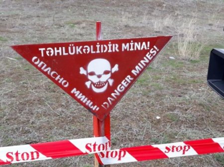 Azərbaycan Minatəmizləmə Agentliyi (ANAMA) işğaldan azad edilmiş ərazilərdə ötən həftə daha 119 mina aşkarlayıb