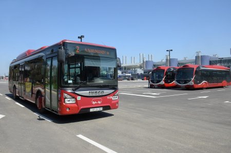 Bakıda bəzi avtobusların hərəkət sxemi dəyişdiriləcək