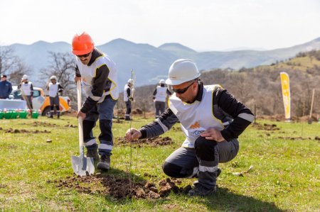 “Ağyoxuş-1” qızıl yatağı yaxınlığında növbəti ağacəkmə aksiyası keçirilib